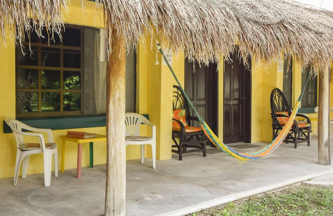 Amigos Hostel Cozumel-1