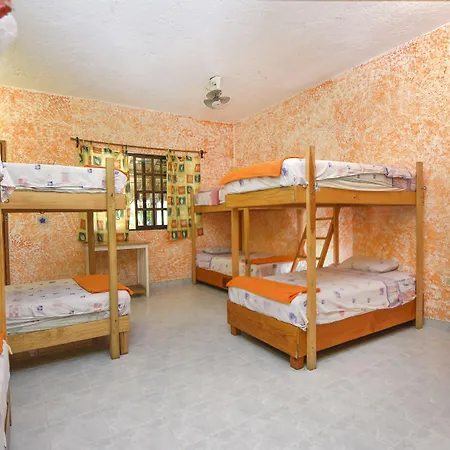 Amigos Hostel Cozumel-3